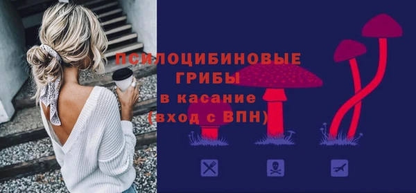 стаф Алексин