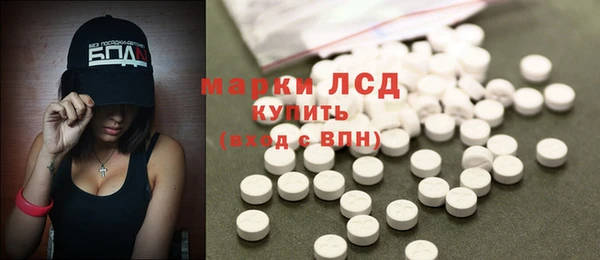 стаф Алексин