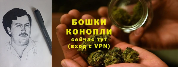 ешки Алзамай