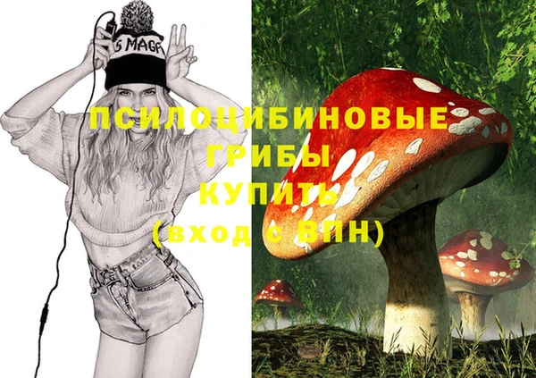 стаф Алексин